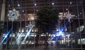 Snowflakes In Windows - Winter